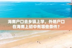 海南户口去乡镇上学，外地户口在海南上初中有哪些条件？