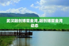 武汉融创博鳌金湾,融创博鳌金湾动态