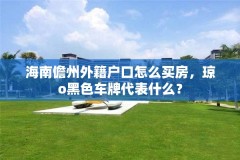 海南儋州外籍户口怎么买房,琼o黑色车牌代表什么?
