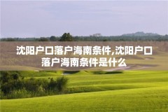 沈阳户口落户海南条件,沈阳户口落户海南条件是什么