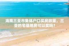 海南三亚市集体户口买房政策，三亚的宅基地房可以买吗？