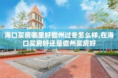 海口买房哪里好儋州过冬怎么样,在海口买房好还是儋州买房好