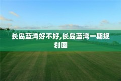 长岛蓝湾好不好,长岛蓝湾一期规划图