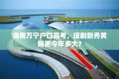 海南万宁户口高考,琼剧新秀黄振更今年多大?