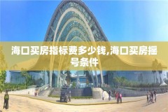 海口买房指标费多少钱,海口买房摇号条件