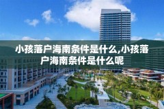 小孩落户海南条件是什么,小孩落户海南条件是什么呢