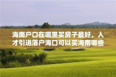 海南户口在哪里买房子最好,人才引进落户海口可以买海南哪些区房?