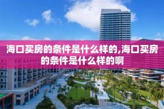 海口买房的条件是什么样的,海口买房的条件是什么样的啊