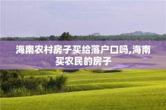 海南农村房子买给落户口吗,海南买农民的房子