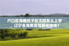 户口在海南孩子在沈阳怎么上学，辽宁去海南自驾最佳路线？