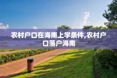 农村户口在海南上学条件,农村户口落户海南