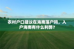 农村户口建议在海南落户吗,入户海南有什么利弊?