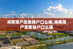 海南落户是集体户口么嘛,海南落户是集体户口么嘛