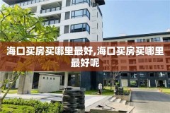 海口买房买哪里最好,海口买房买哪里最好呢