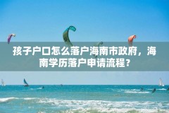 孩子户口怎么落户海南市政府,海南学历落户申请流程?
