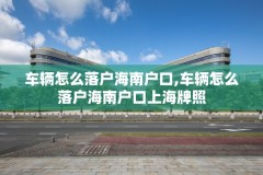车辆怎么落户海南户口,车辆怎么落户海南户口上海牌照