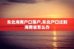 东北海南户口落户,东北户口迁到海南省怎么办