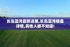 长岛蓝湾最新进展,长岛蓝湾楼盘详情,其他人都不知道!