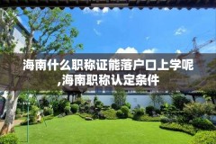 海南什么职称证能落户口上学呢,海南职称认定条件