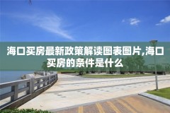 海口买房最新政策解读图表图片,海口买房的条件是什么