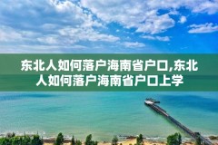 东北人如何落户海南省户口,东北人如何落户海南省户口上学