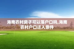 海南农村房子可以落户口吗,海南农村户口迁入条件