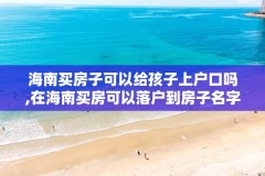 海南买房子可以给孩子上户口吗,在海南买房可以落户到房子名字吗