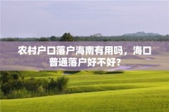 农村户口落户海南有用吗,海口普通落户好不好?