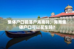集体户口能落户海南吗，海南集体户口可以买车吗？