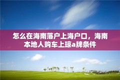 怎么在海南落户上海户口,海南本地人购车上琼a牌条件