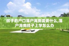 孩子的户口落户海南需要什么,落户海南孩子上学怎么办