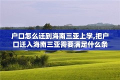 户口怎么迁到海南三亚上学,把户口迁入海南三亚需要满足什么条件
