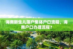 海南新生儿落户集体户口流程，海南户口办理流程？