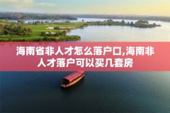 海南省非人才怎么落户口,海南非人才落户可以买几套房