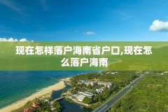 现在怎样落户海南省户口,现在怎么落户海南