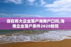 现在有大企业落户海南户口吗,海南企业落户条件2020新规