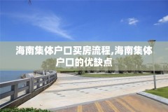 海南集体户口买房流程,海南集体户口的优缺点