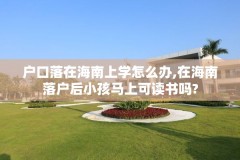 户口落在海南上学怎么办,在海南落户后小孩马上可读书吗?
