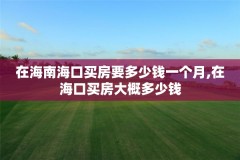 在海南海口买房要多少钱一个月,在海口买房大概多少钱