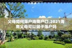 父母如何落户海南户口,2021海南父母可以随子落户吗