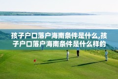 孩子户口落户海南条件是什么,孩子户口落户海南条件是什么样的