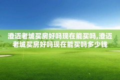 澄迈老城买房好吗现在能买吗,澄迈老城买房好吗现在能买吗多少钱