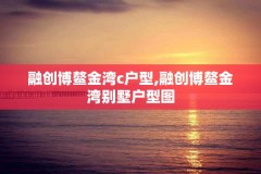 融创博鳌金湾c户型,融创博鳌金湾别墅户型图