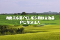 海南乐东落户口,乐东黎族自治县户口怎么迁入