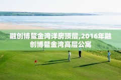 融创博鳌金湾洋房顶层,2016年融创博鳌金湾高层公寓