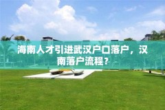 海南人才引进武汉户口落户,汉南落户流程?