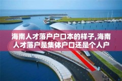 海南人才落户户口本的样子,海南人才落户是集体户口还是个人户口