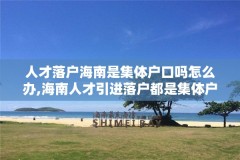 人才落户海南是集体户口吗怎么办,海南人才引进落户都是集体户口吗