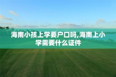 海南小孩上学要户口吗,海南上小学需要什么证件