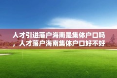 人才引进落户海南是集体户口吗,人才落户海南集体户口好不好?